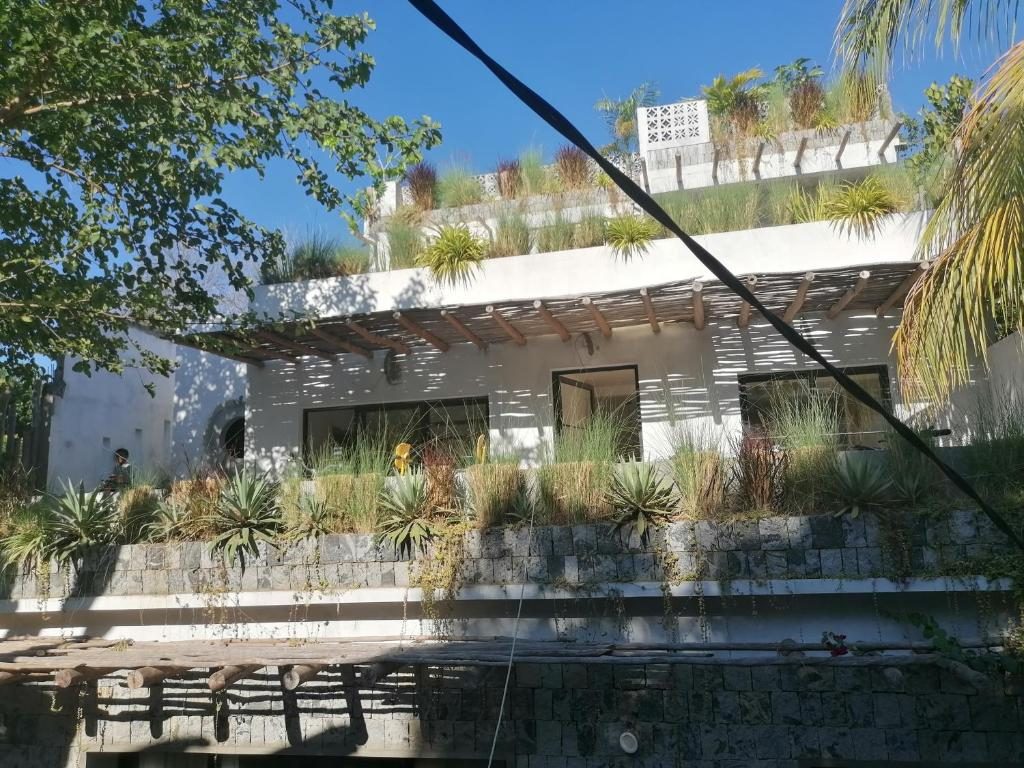 Façade de Home Sakalava : murs en pierre, terrasses plantées et pergola en bois sous le ciel bleu
